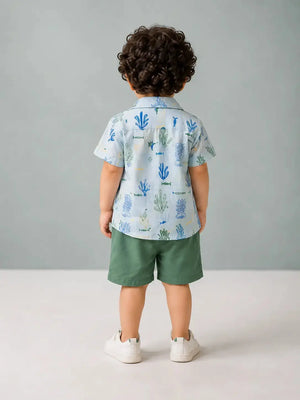 Boys Sky Blue Soft Cotton Sets Casual Fashion Kids Wear BloomUp