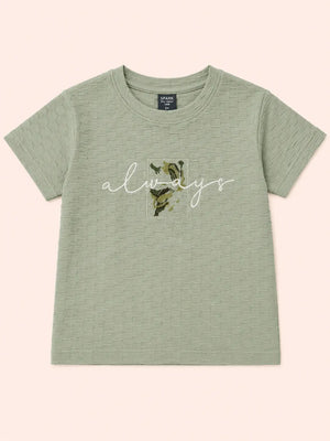 BloomUp Baby Boys Pista Green Embroidered T-Shirt – Half Sleeve Casual Summer Tee