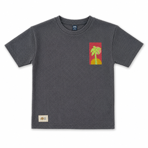 Boys Charcoal Grey Textured Cotton T-Shirt – Tropical Graphic Casual Half Sleeve Tee BloomUp