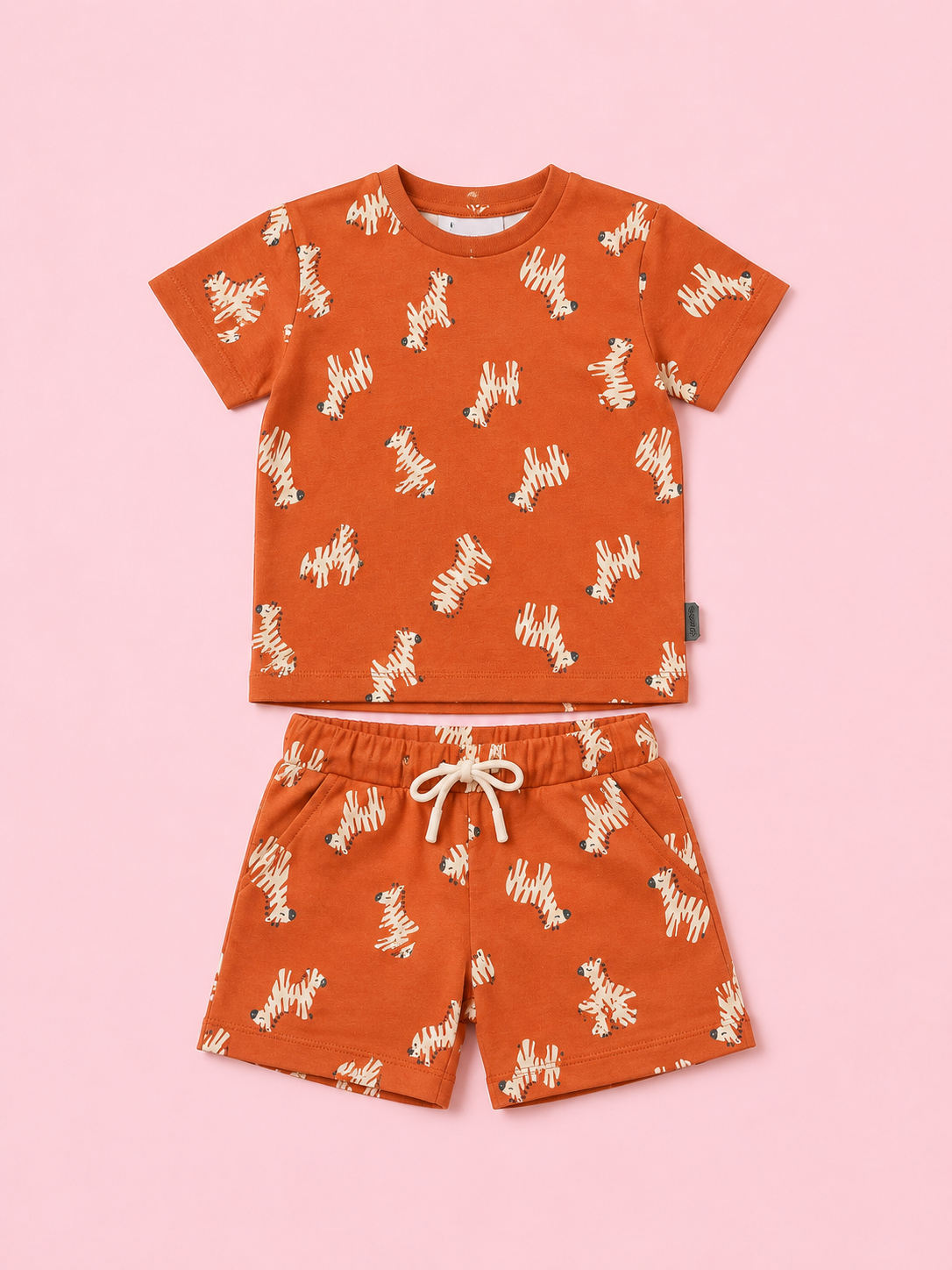Boys Orange Soft Cotton Sets Casual Fashion Kids Wear BloomUp