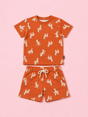 Boys Orange Soft Cotton Sets Casual Fashion Kids Wear BloomUp