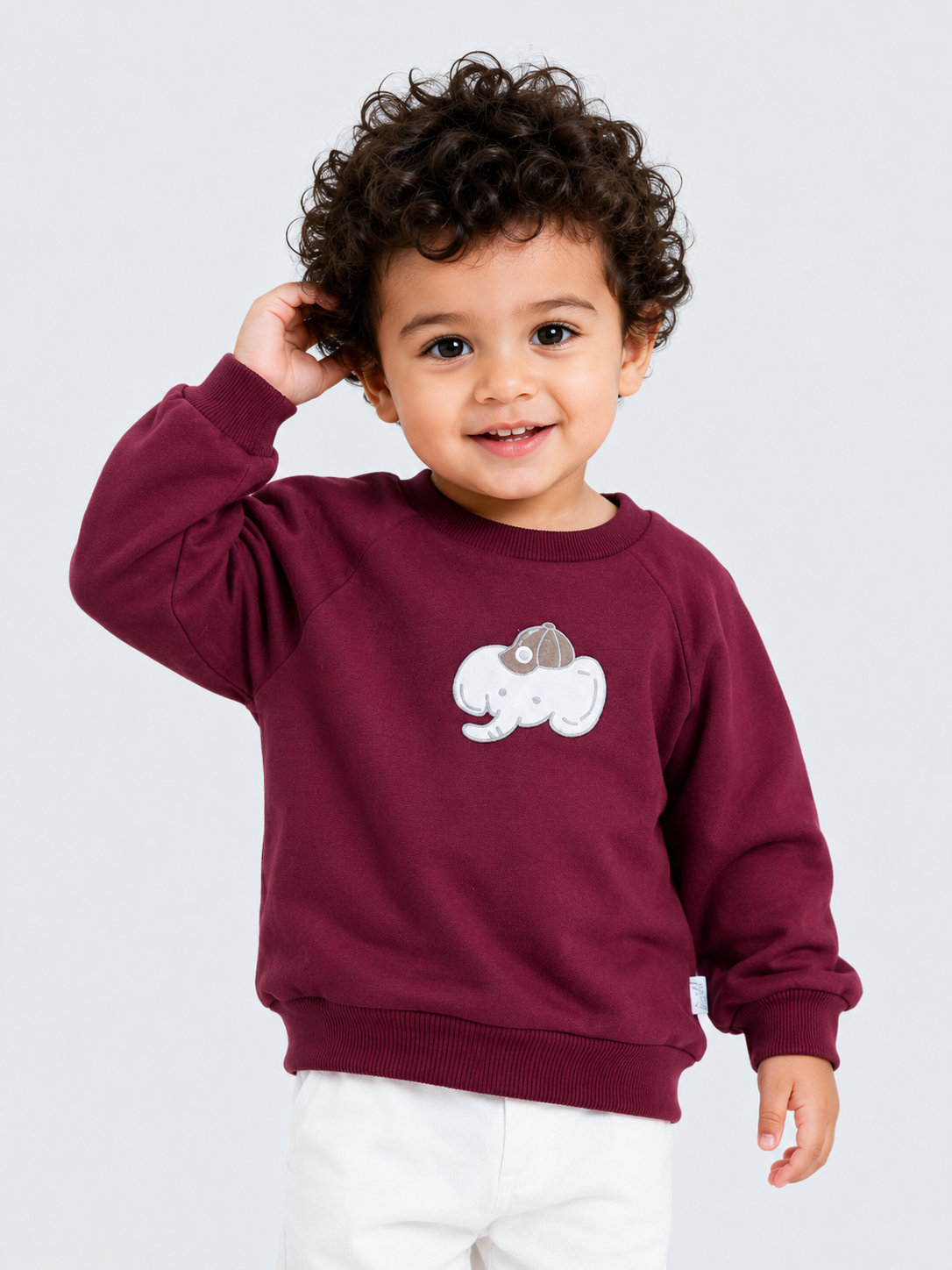 Maroon Elephant Appliqué Sweatshirt for Kids – Soft Cotton Fleece Winter Pullover BloomUp