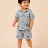Grey Embroidered Co-ord Set for Boys – Soft Cotton Casual Summer Outfit