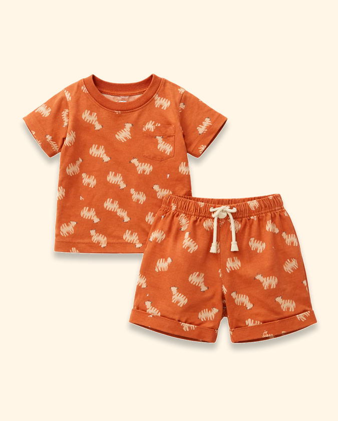 Orange Zebra Print T-Shirt & Shorts Set – Cotton Kids Summer Outfit BloomUp