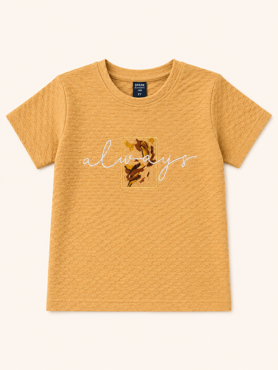 Boys Orange Soft Cotton T-Shirt Casual Fashion Kids Wear BloomUp