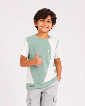 Pista Trendy Daily Wear Boys Soft Cotton T-Shirt BloomUp