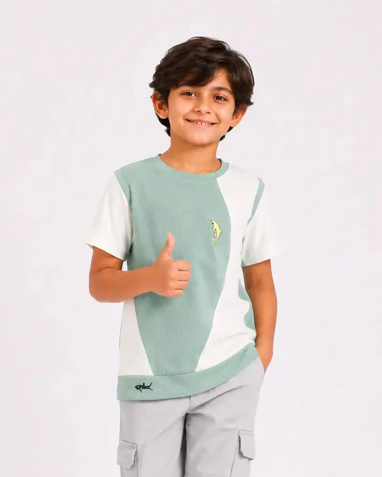Pista Trendy Daily Wear Boys Soft Cotton T-Shirt BloomUp
