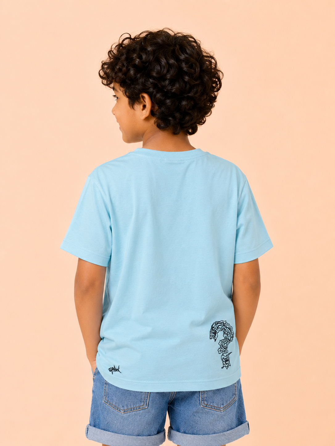 Boys “I Have A Question” Graphic Cotton T-Shirt – Sky Blue Casual Half Sleeve Tee for Kids BloomUp